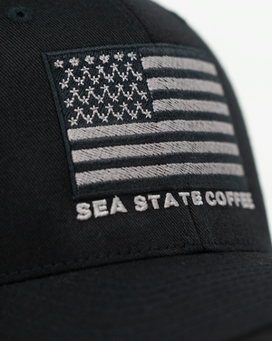 Subdued Americana Flex-Fit