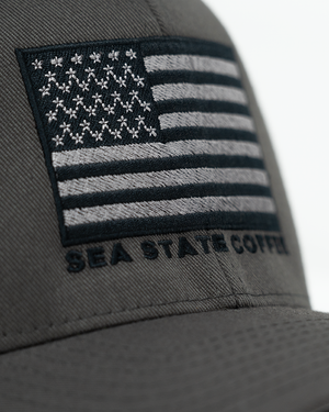 Subdued Americana Flex-Fit