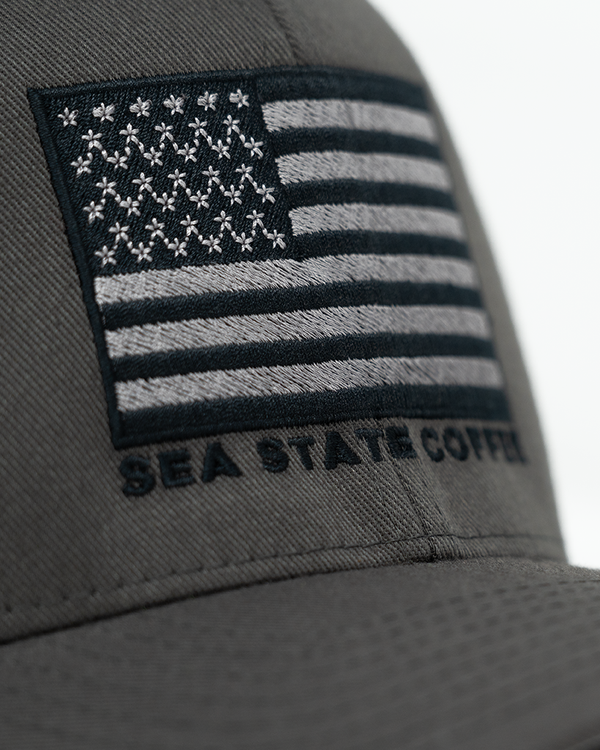 Subdued Americana Flex-Fit